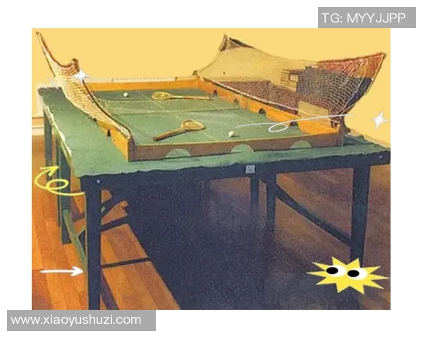 乒乓球运动的魅力与发展历程探索：从起源到现代竞技的转变与影响