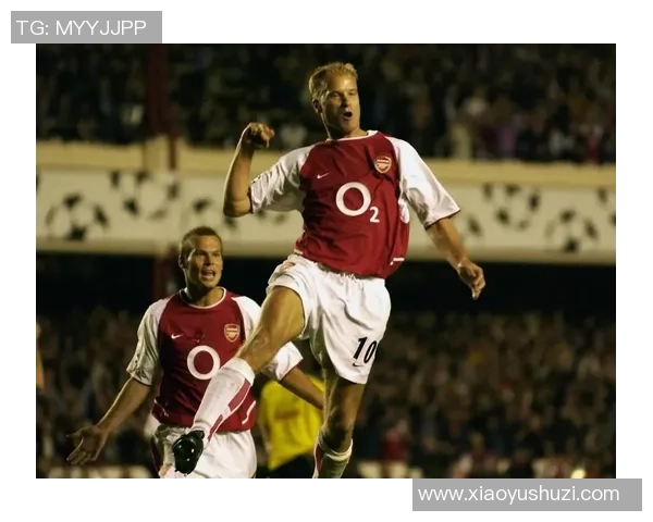 冰王子丹尼斯博格坎普的艺术足球人生与永不坠落的传奇 冰王子丹尼斯博格坎普的艺术足球人生与永不坠落的传奇