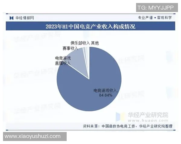 打造电竞职业联赛新格局推动电竞行业高质量发展与国际化进程