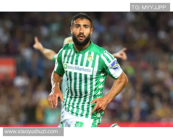 深入探讨新赛季NBA格局与各大球队竞争趋势最新全面解析动态展