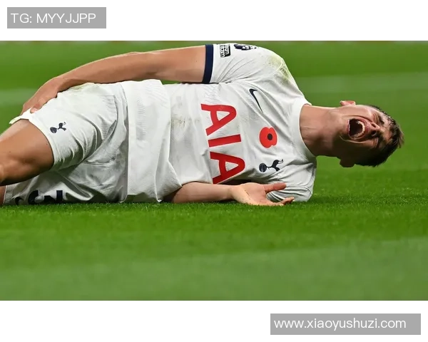 热刺与西汉姆激战英超冲刺阶段 谁能笑到最后抢占欧战席位