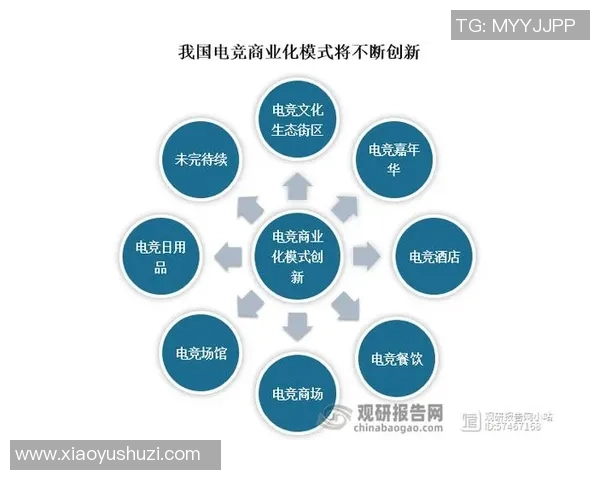 电子竞技行业的崛起与未来发展趋势：从竞技赛事到文化产业的多元化融合