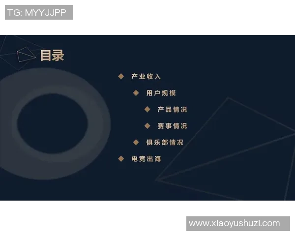 电竞崛起的背后探索全球电子竞技产业发展趋势与挑战