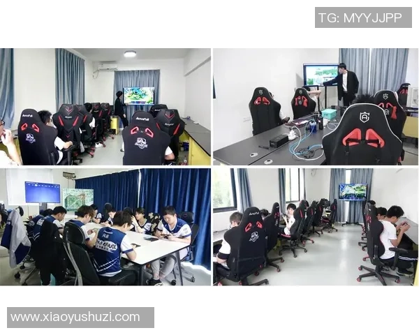 白鲨电子竞技俱乐部全面升级打造新时代职业电竞竞技与青训融合典范